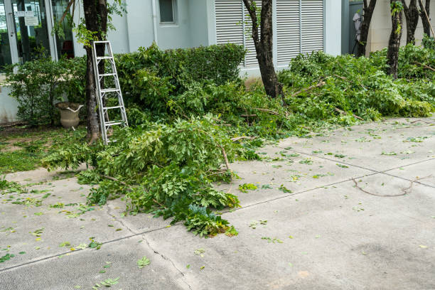 Best Emergency Storm Tree Removal  in Fitchburg, WI